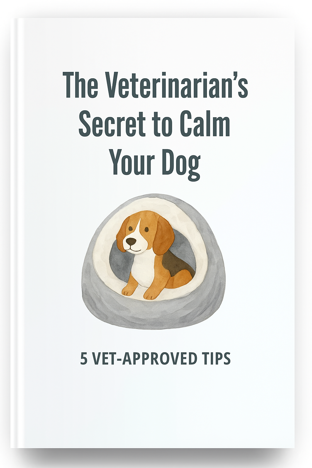 5 Vet-Approved Strategies to Heal Your Rescue Dog's Anxiety and Build Trust