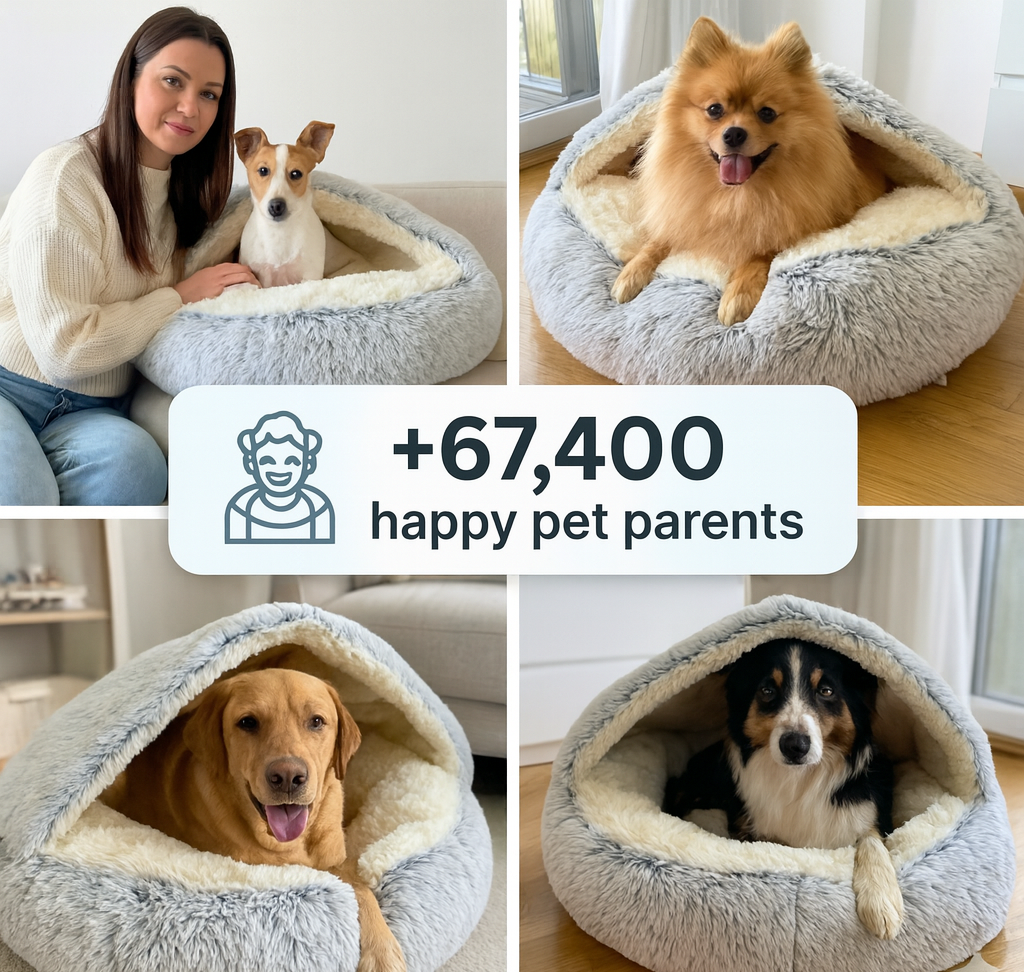 cozy cocoon + Free E-Book