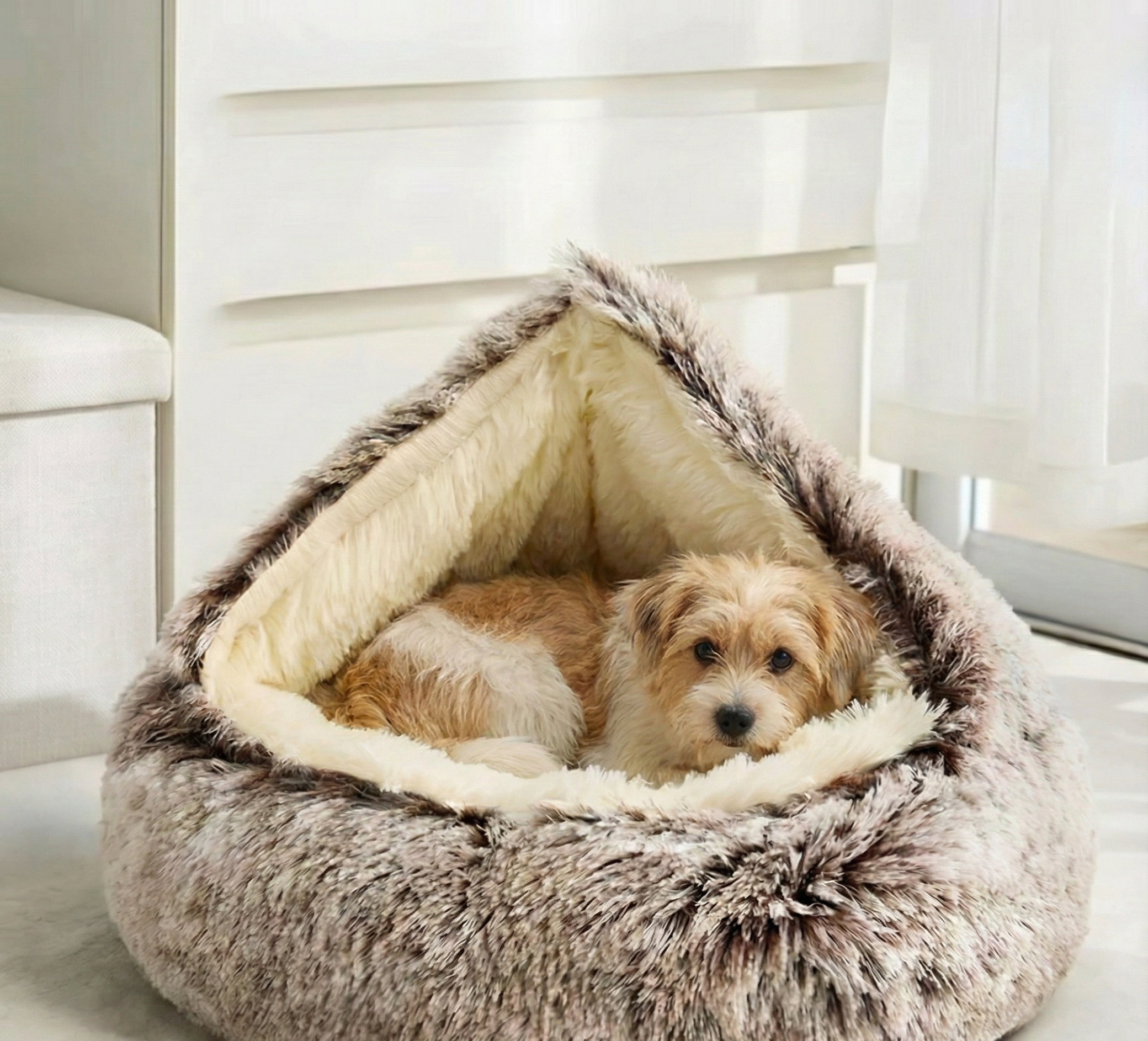 cozy cocoon + Free E-Book