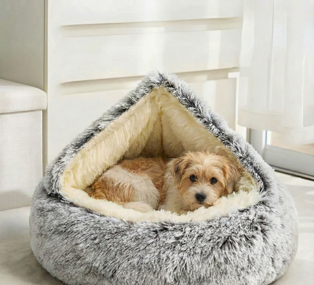 cozy cocoon + Free E-Book