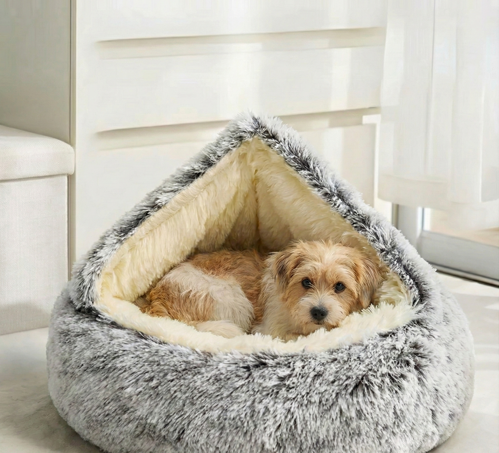 cozy cocoon + Free E-Book