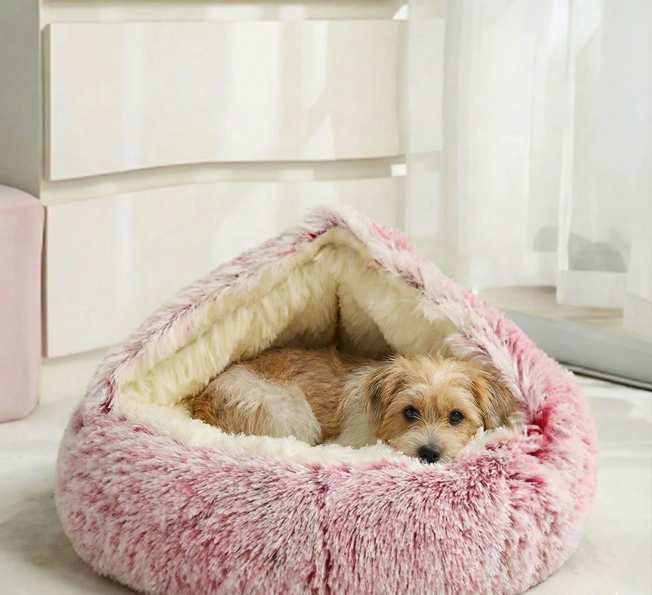 cozy cocoon + Free E-Book