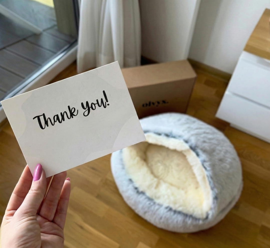 cozy cocoon + Free E-Book